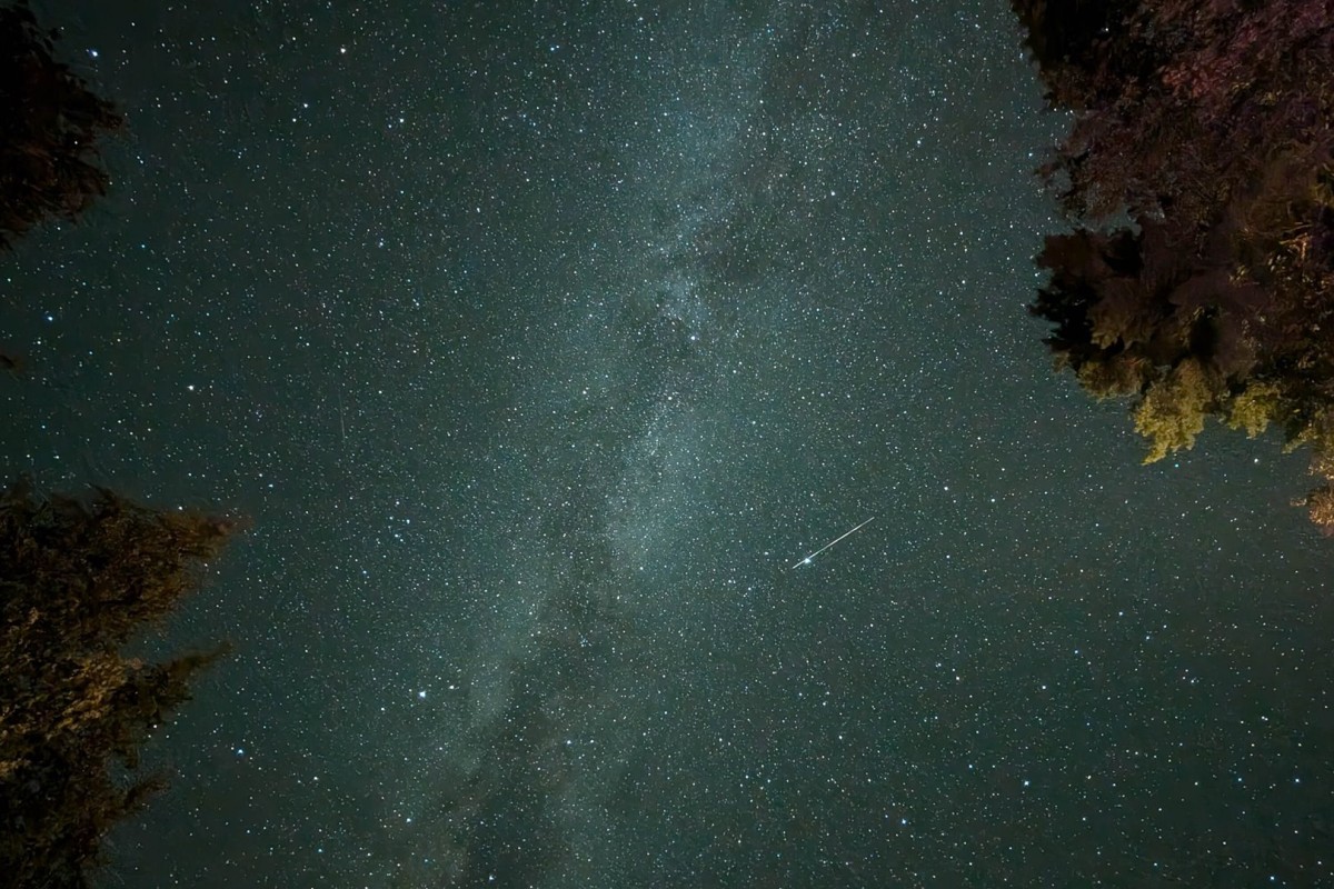 The dark sky reserve is worth every moment
