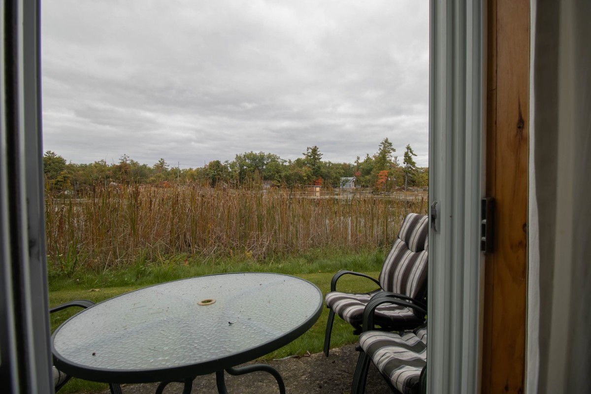 View out from the sunroom