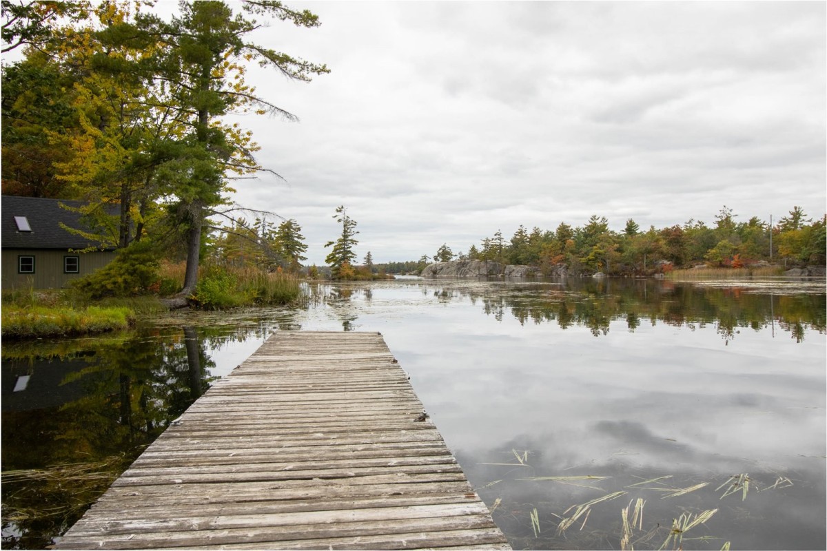 Dock Views