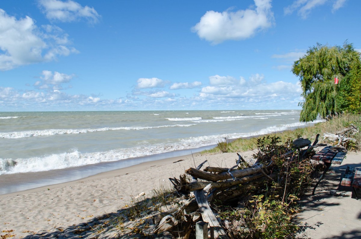 Perfect spot for picnics on the beach
