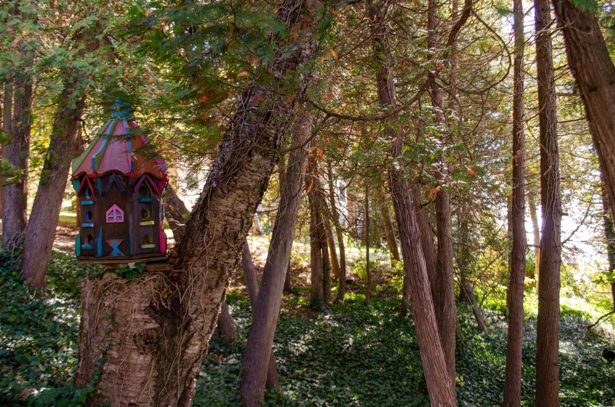 Ontario cottages with wildlife