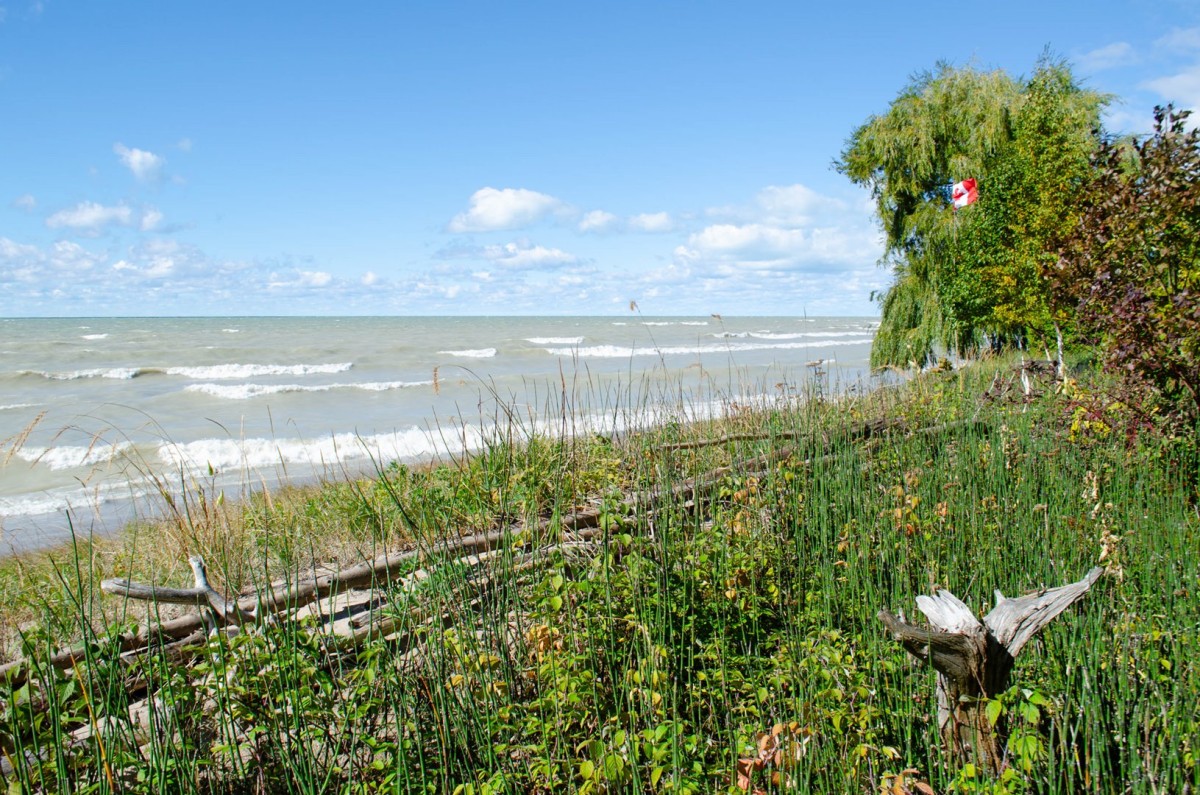 Natural grounds leading to the beach