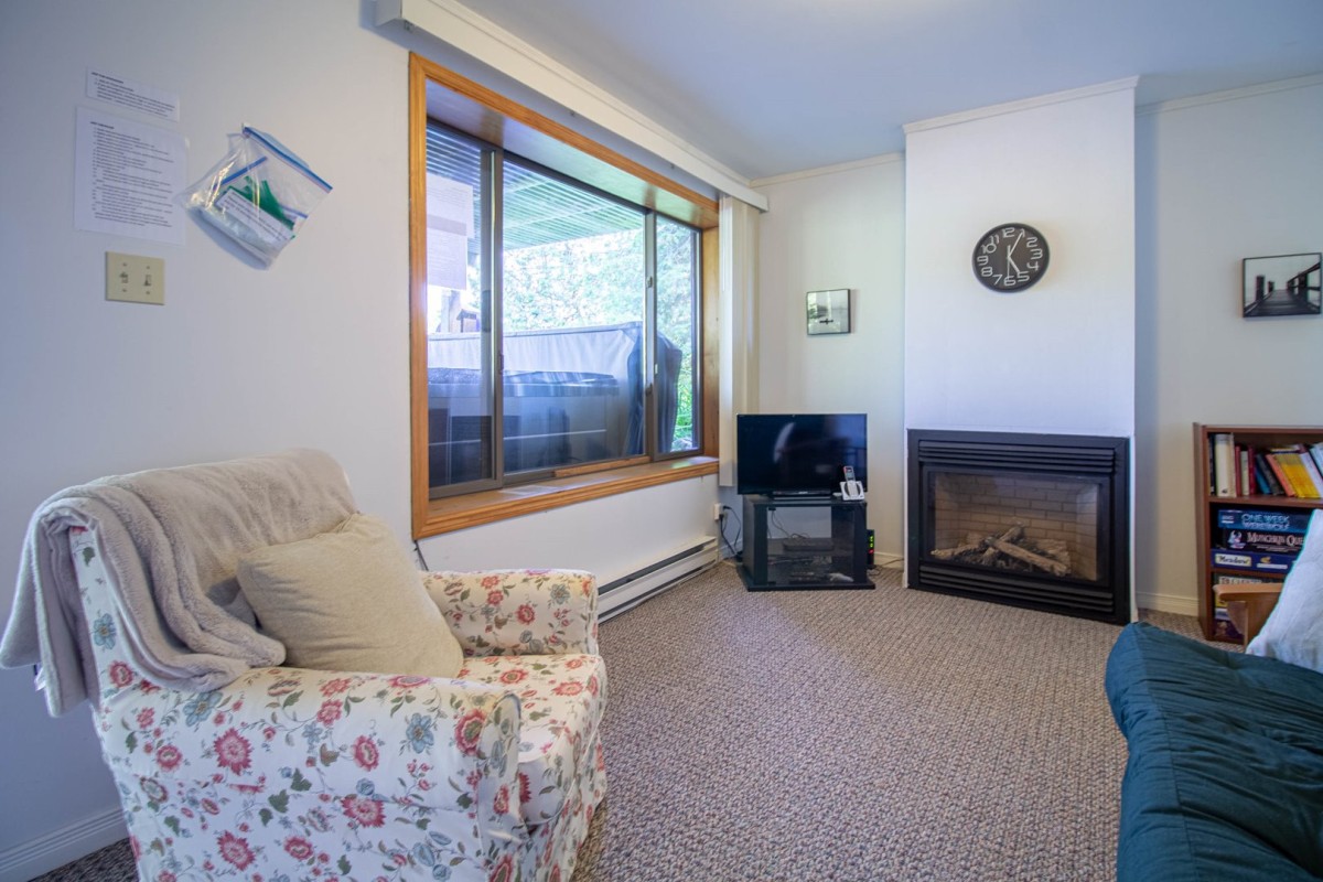 Lower Level Walkout Rec Room