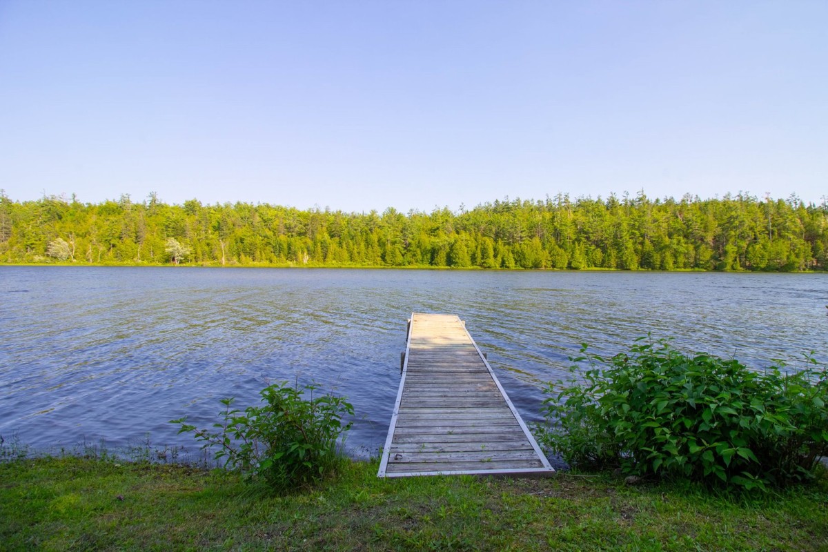 Dock