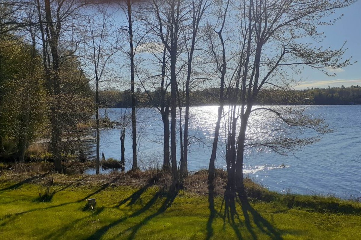Waterfront Views in Early Spring