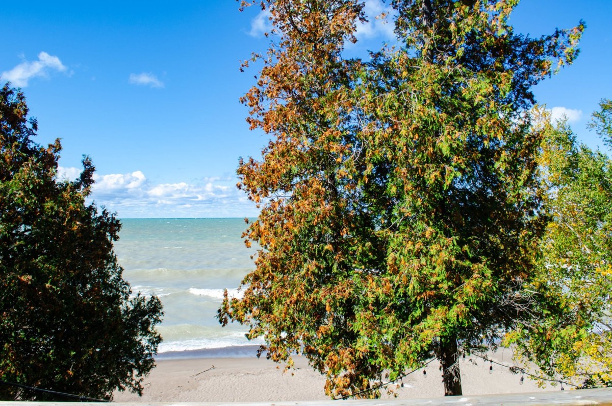 Fall on Huron