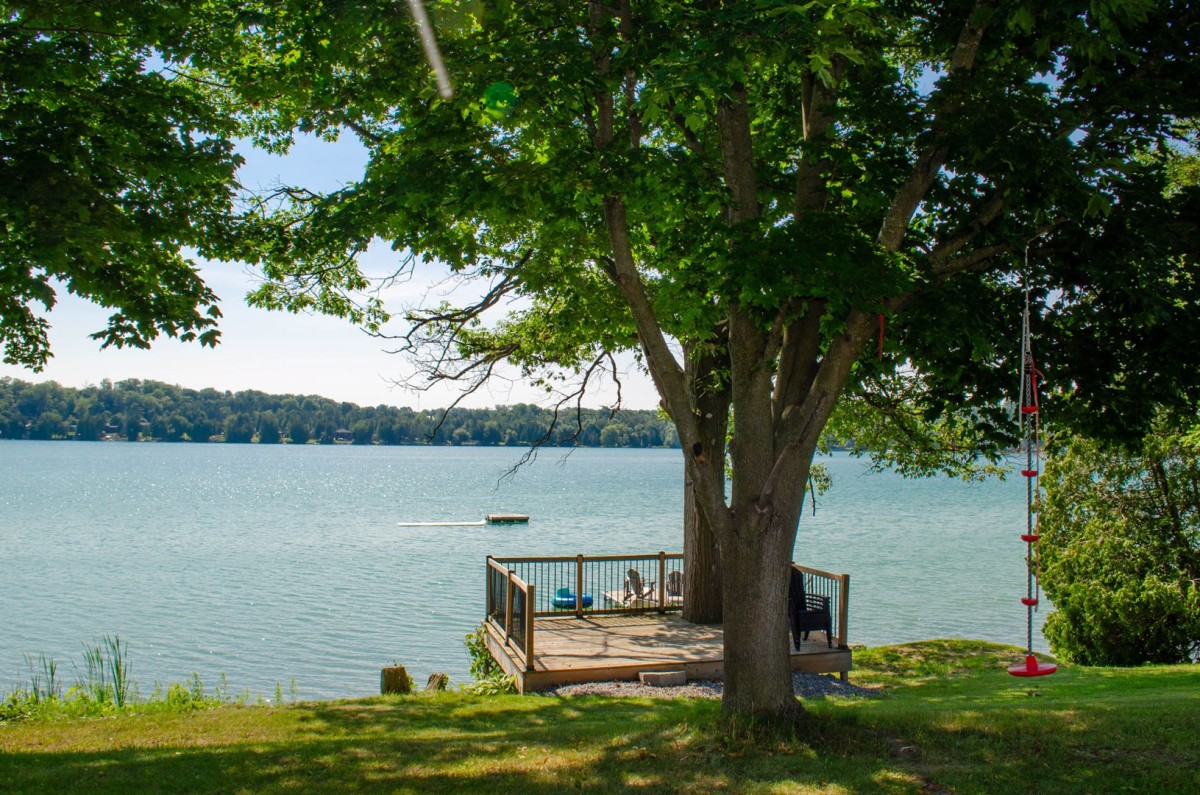 Waterfront Deck Views