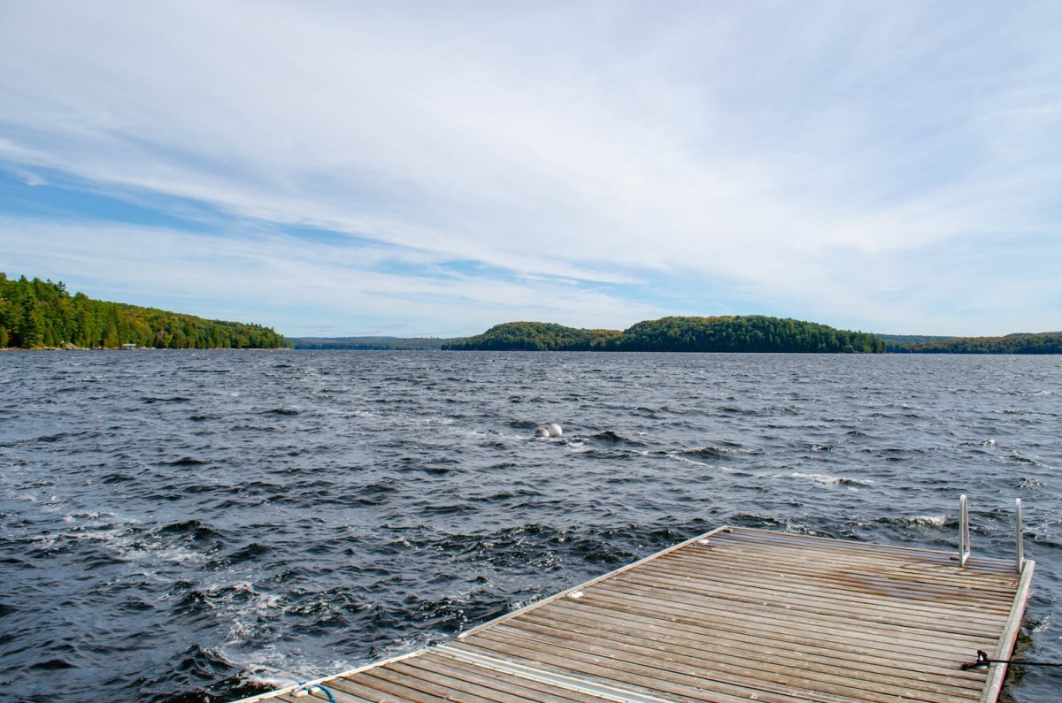 Dock Views