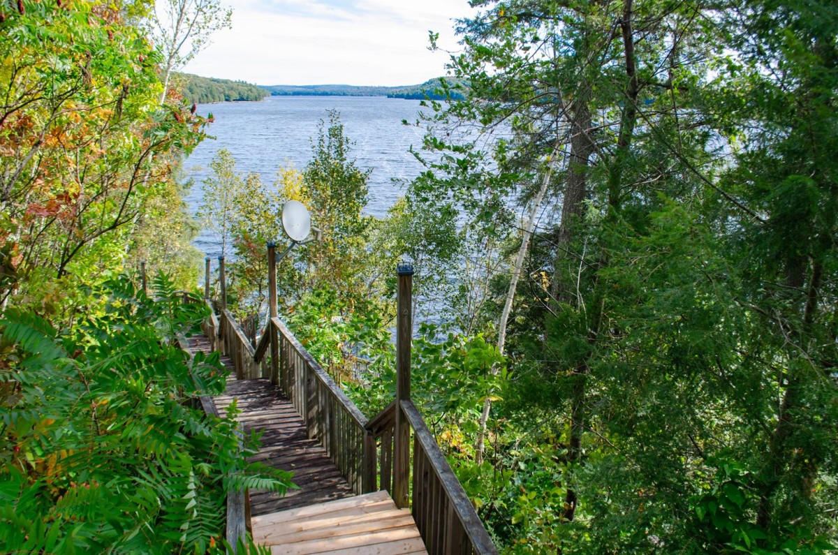 View of the Lake