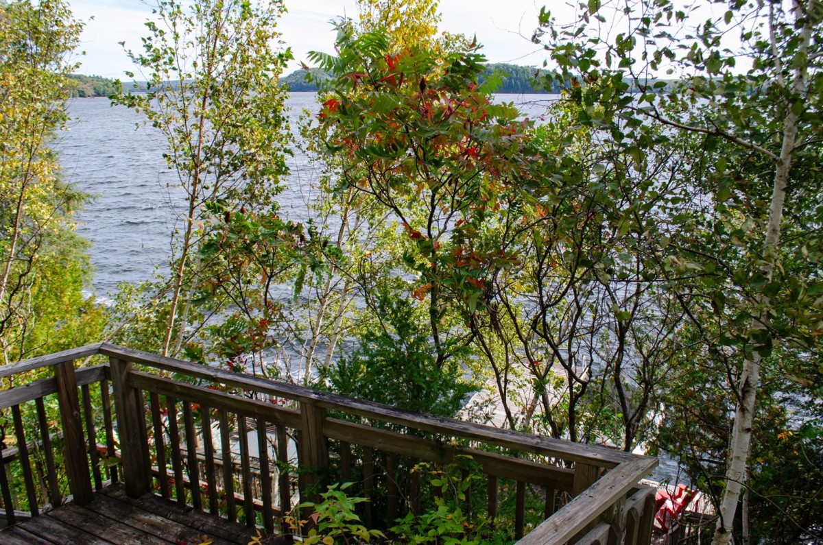 Deck View