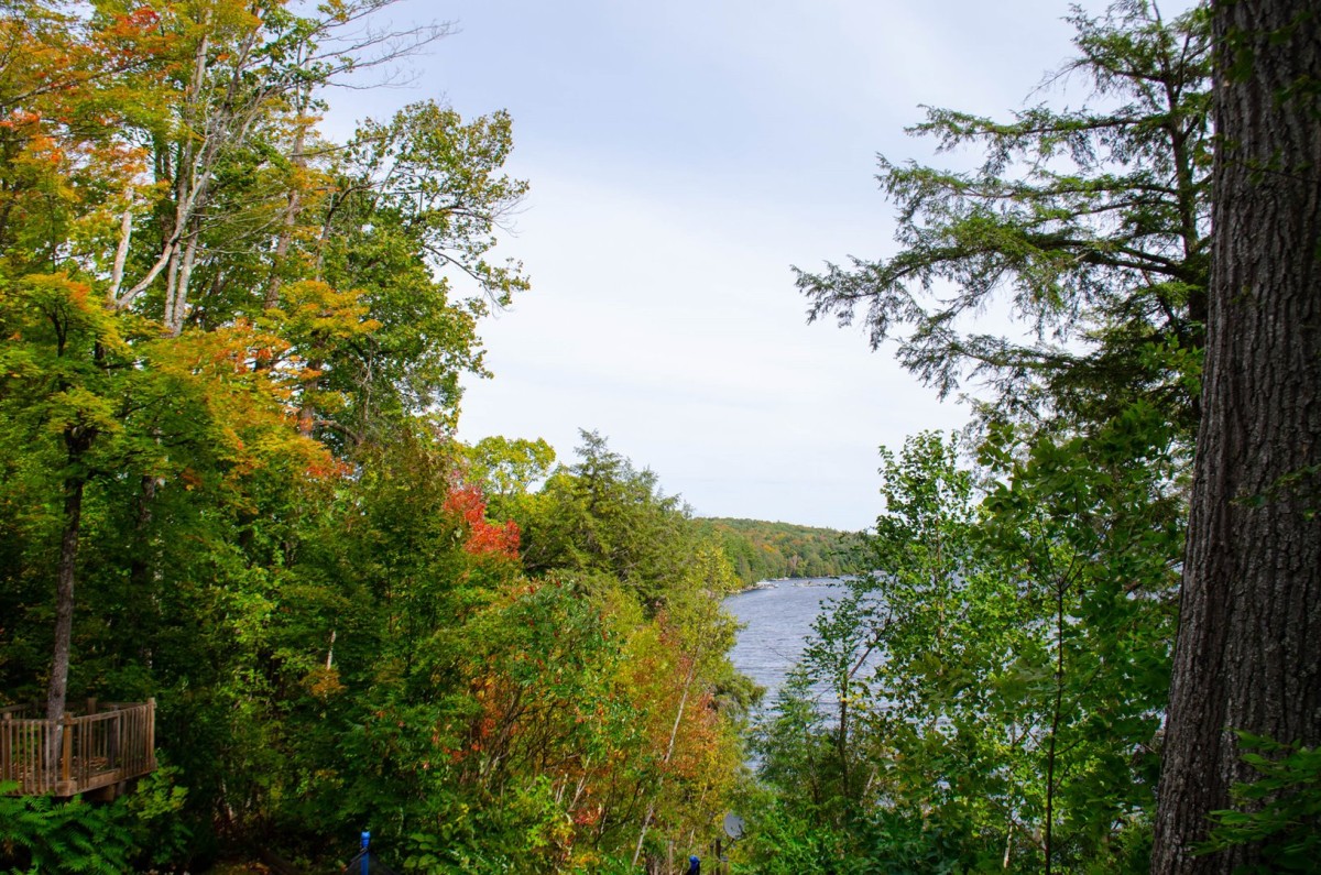 Lake Views