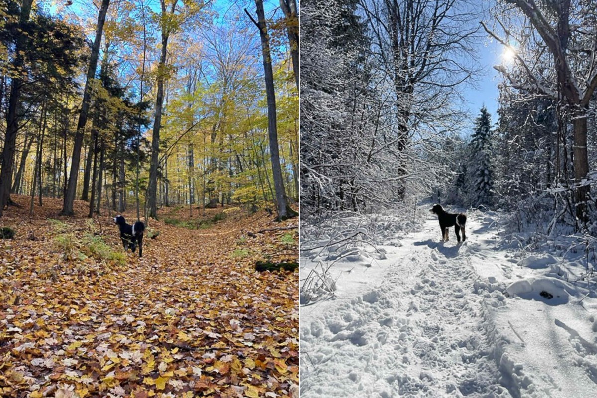 Perfect for dog walks in every season