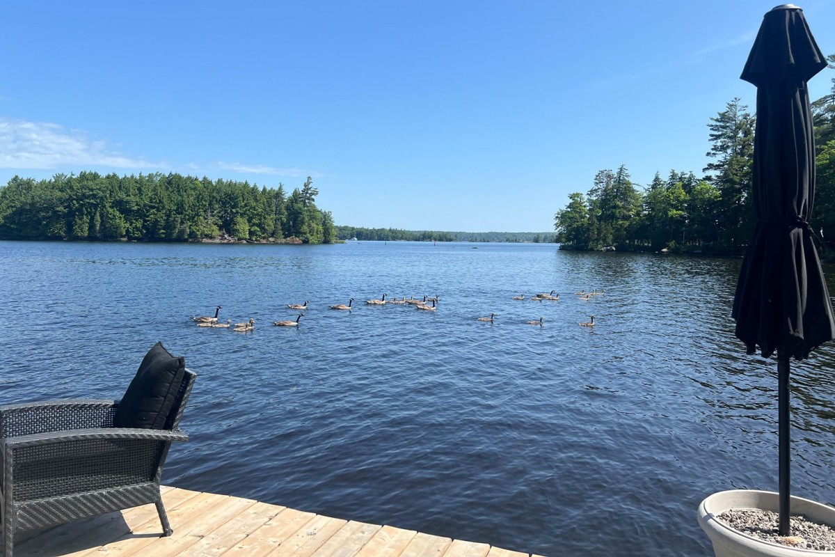 Lake Life at Muskoka Serenity