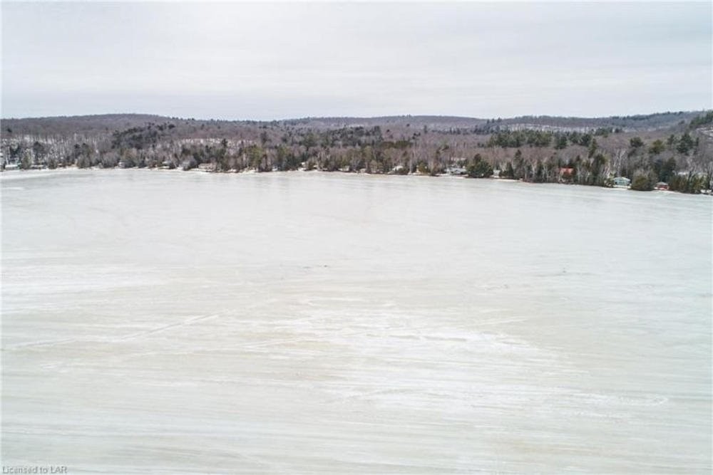 Winter lakefront