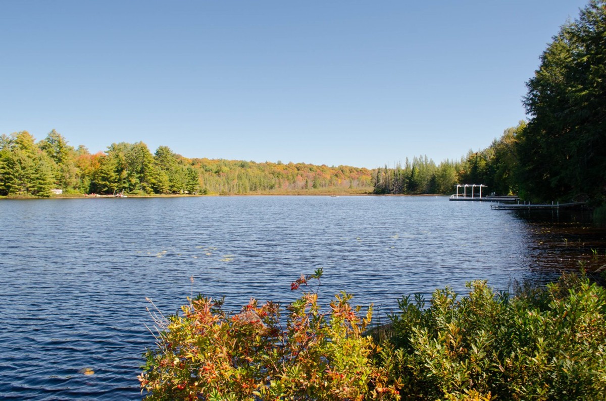 Muskoka Fall Views