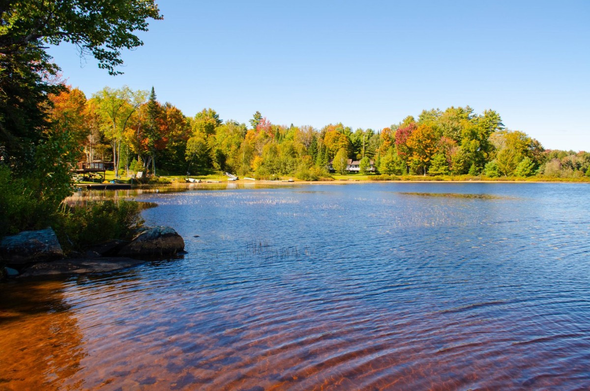 Muskoka Fall Views