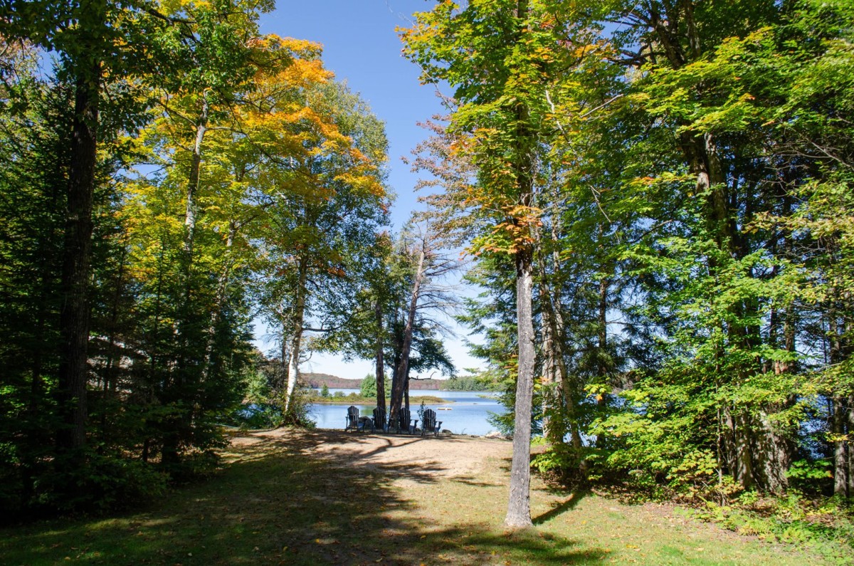 Walk to the Waterfront