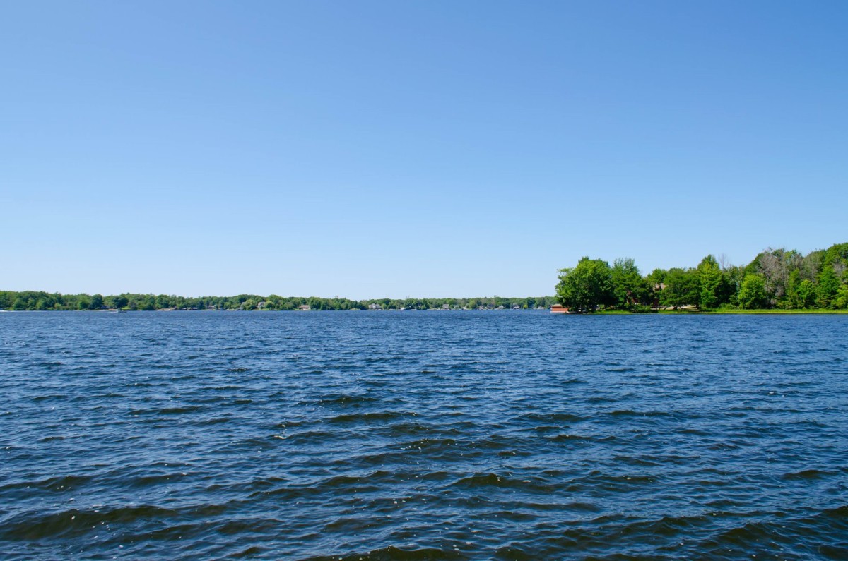 Dockview