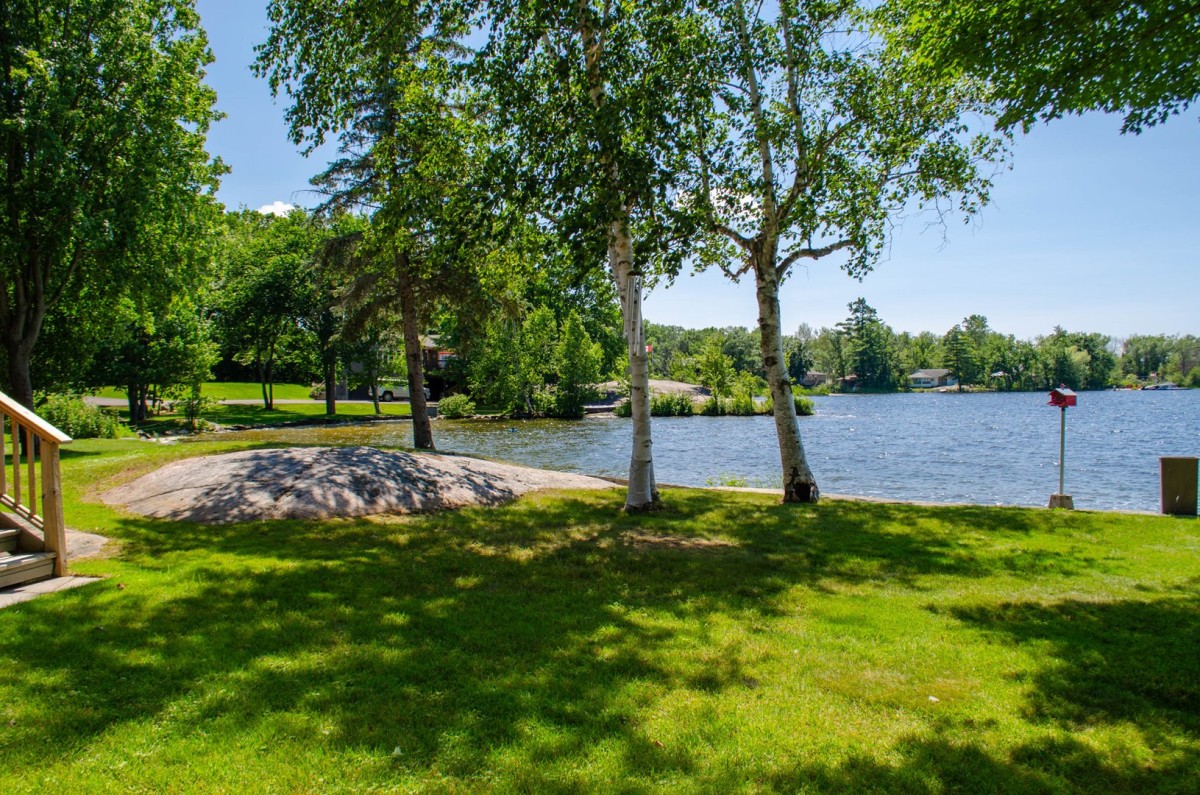 View of the lawn