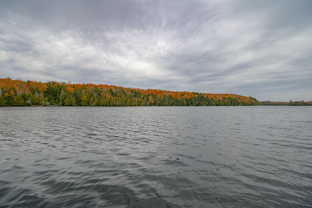 Fall View of Lake in the Fall