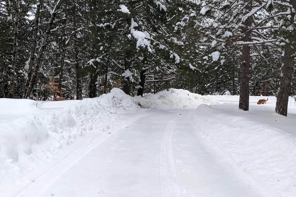 Winter View of the Driveway