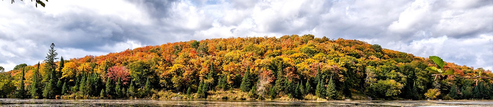 Fall trees on a hill by a lake in Ontario