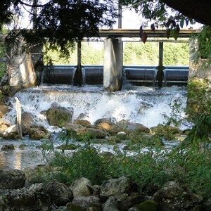 Dobson's Dam is available this spring