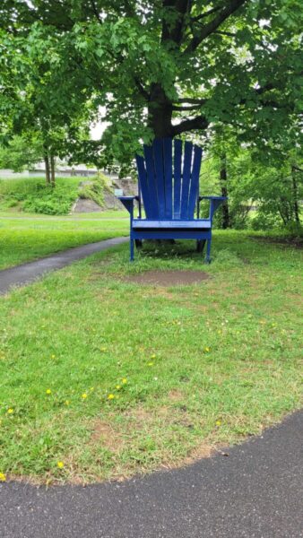 A blue chair under a tree