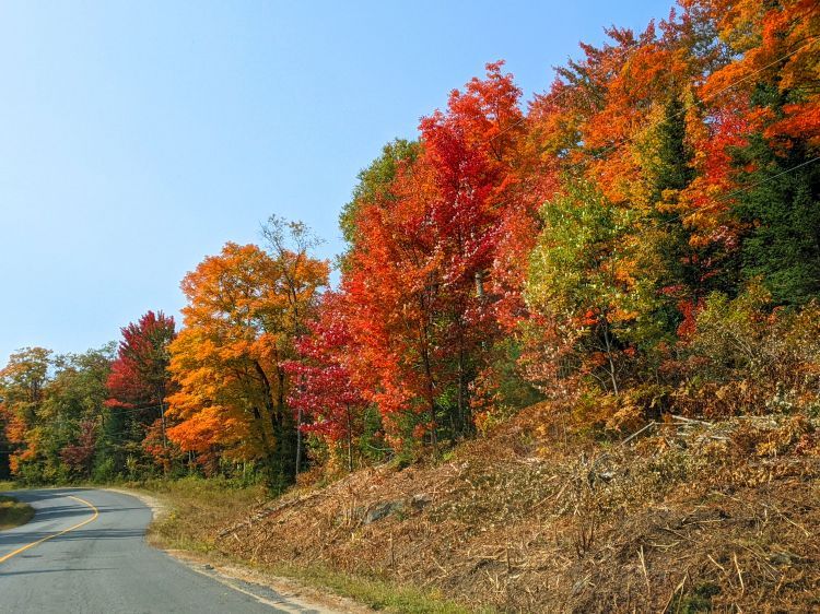 Ontario Fall Colours