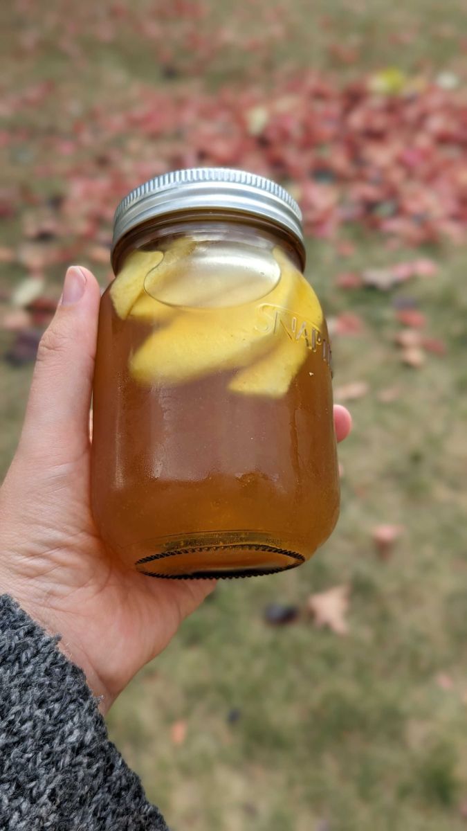 Easy to Make Yummy Fall Cottage Mocktail (or Cocktail)